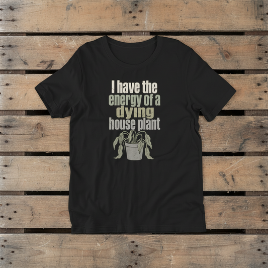 Flat lay mockup - vintage black t-shirt with houseplant props
